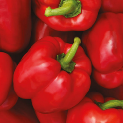 Papryka Caravaggio F1 500 nasion st